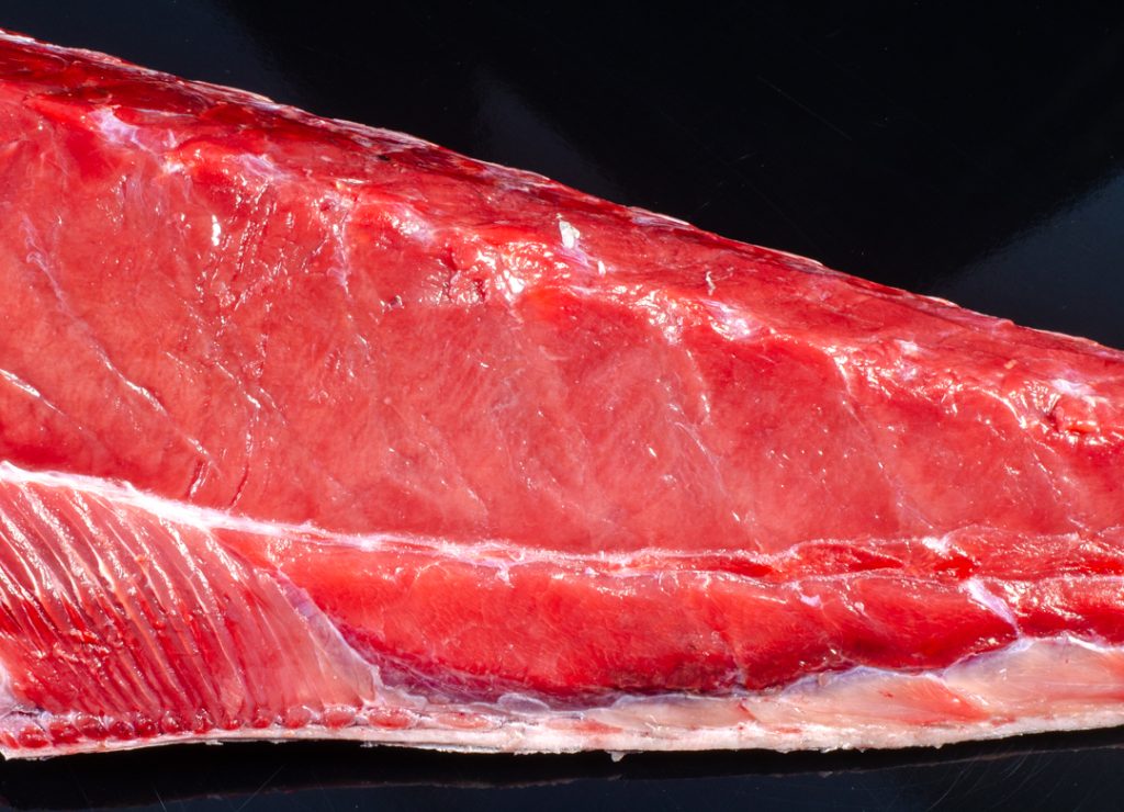 Atún rojo JC Mackintosh en 100% Fun Tarifa